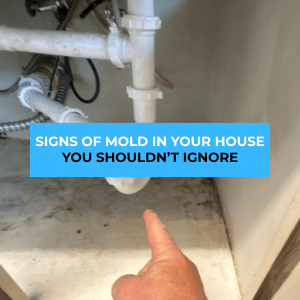 signs of mold in house