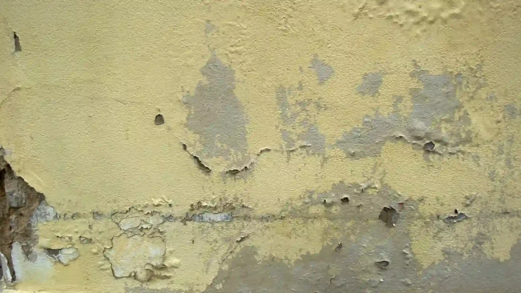 Flaking paint and plaster damage on wall due to prolonged mold and moisture exposure