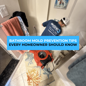 bathroom mold prevention tips