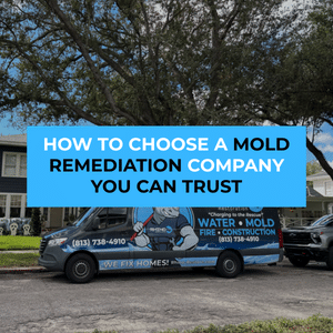 choose a mold remediation company