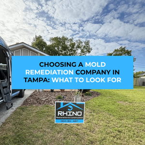 mold remediation company in Tampa