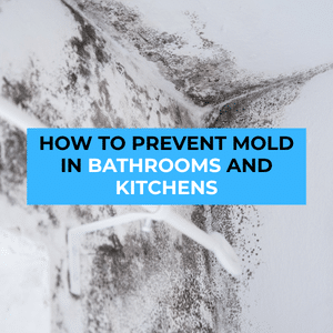 prevent mold in bathroom