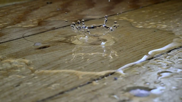 Water pooling on hardwood floor highlighting the urgency of knowing how to choose a water damage restoration company quickly