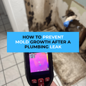 prevent mold after a plumbing leak