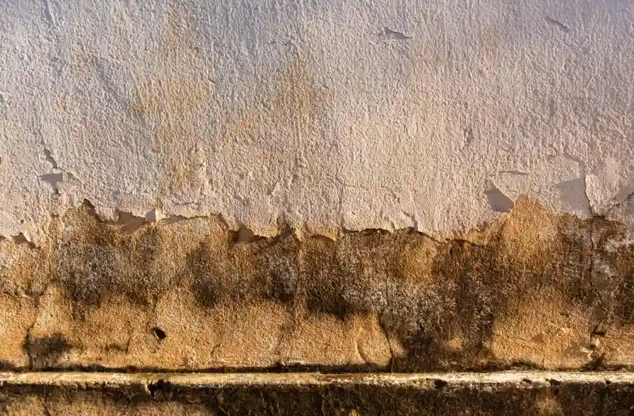 Peeling paint and dark discoloration along a baseboard showing common signs of hidden water damage in walls