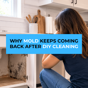 mold keeps coming back