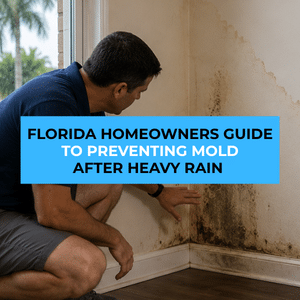 prevent mold after heavy rain